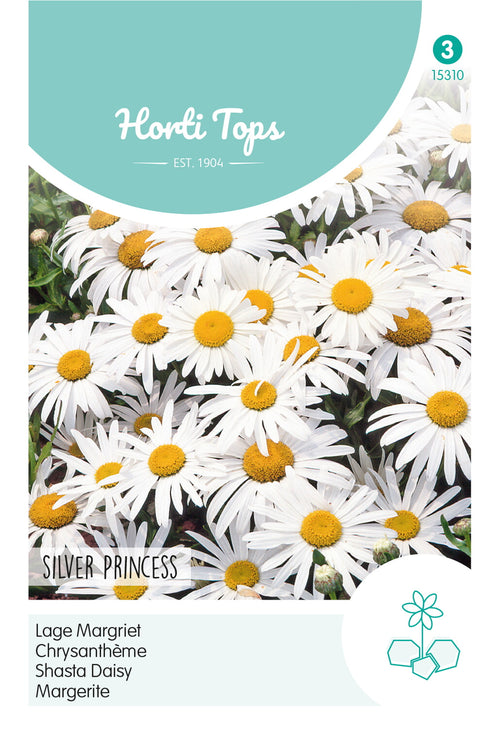 Horti Tops Margerite Silver Princess