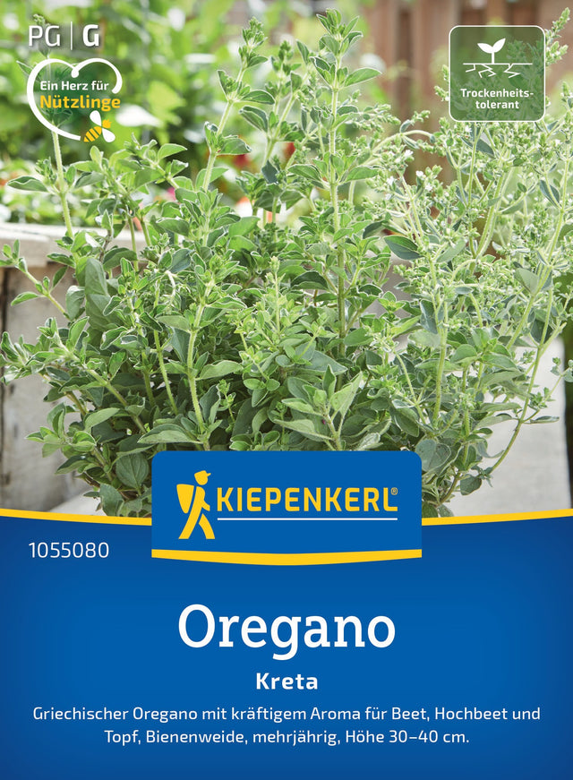Kiepenkerl Oregano Kreta
