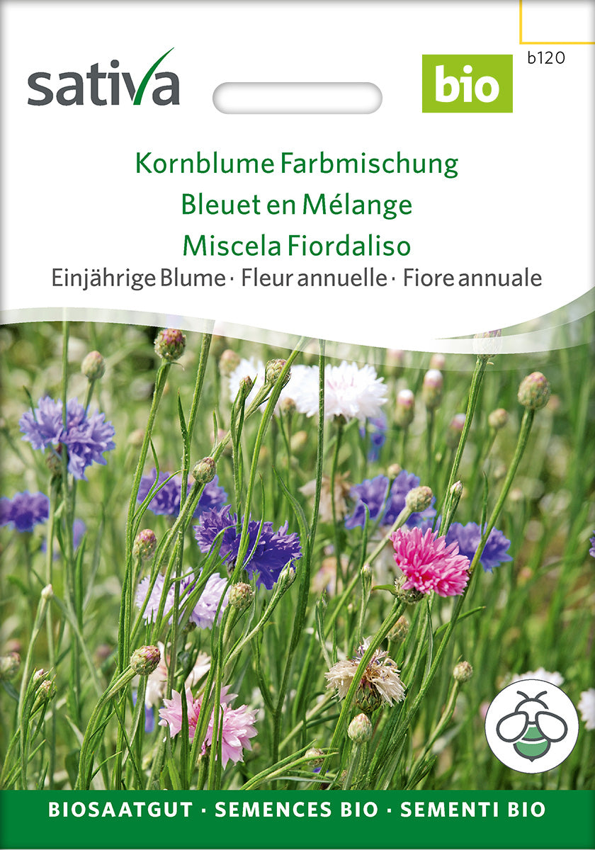 Sativa Kornblume Farbmischung