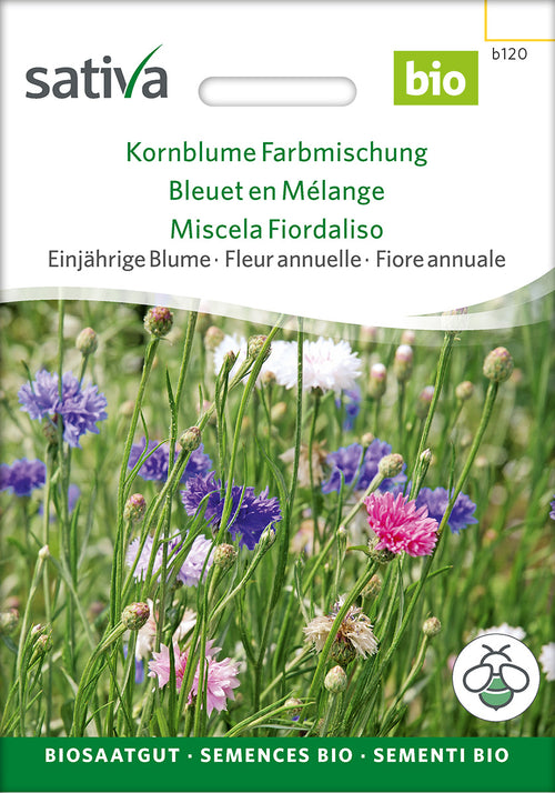Sativa Kornblume Farbmischung