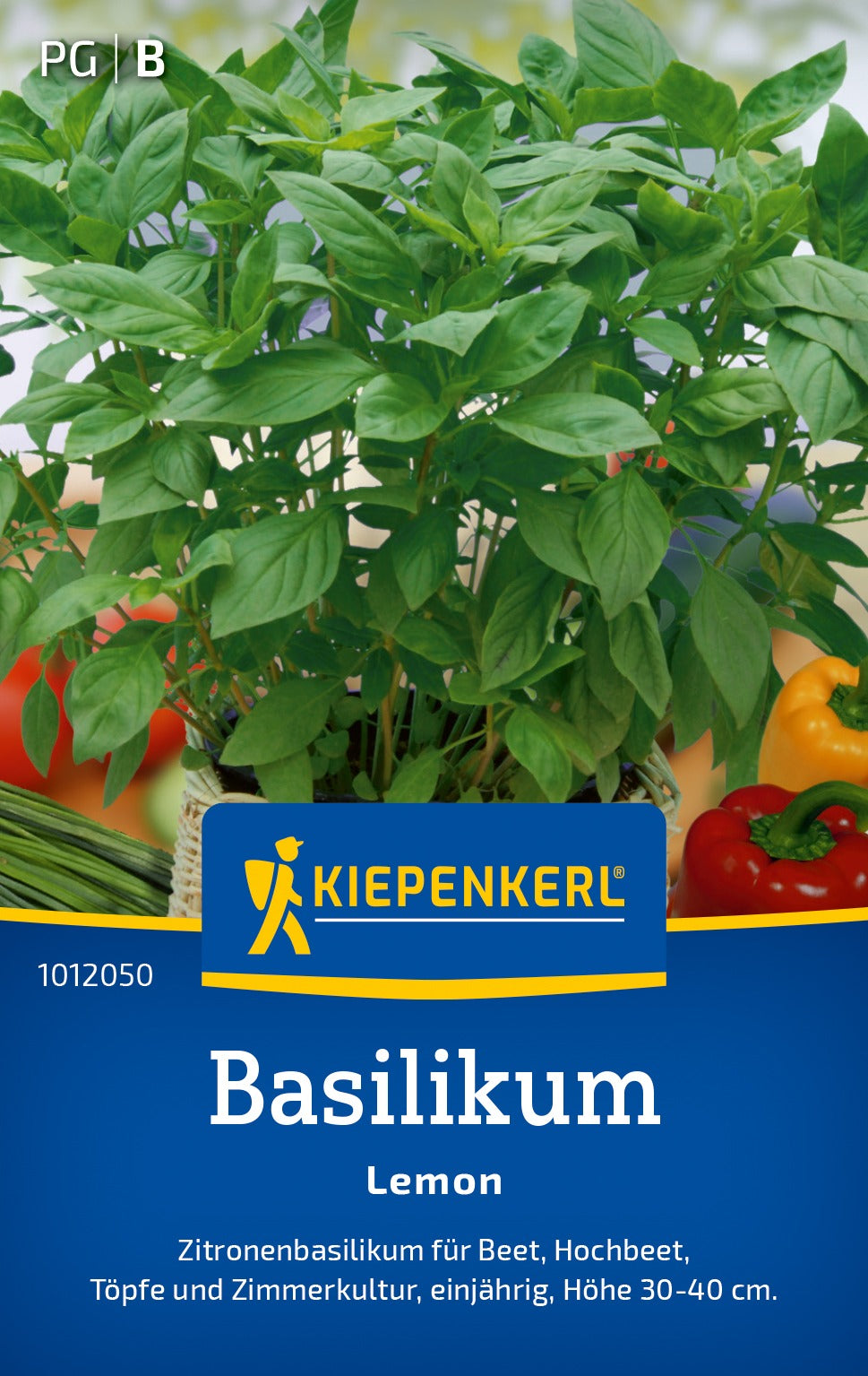 Kiepenkerl Basilikum Lemon