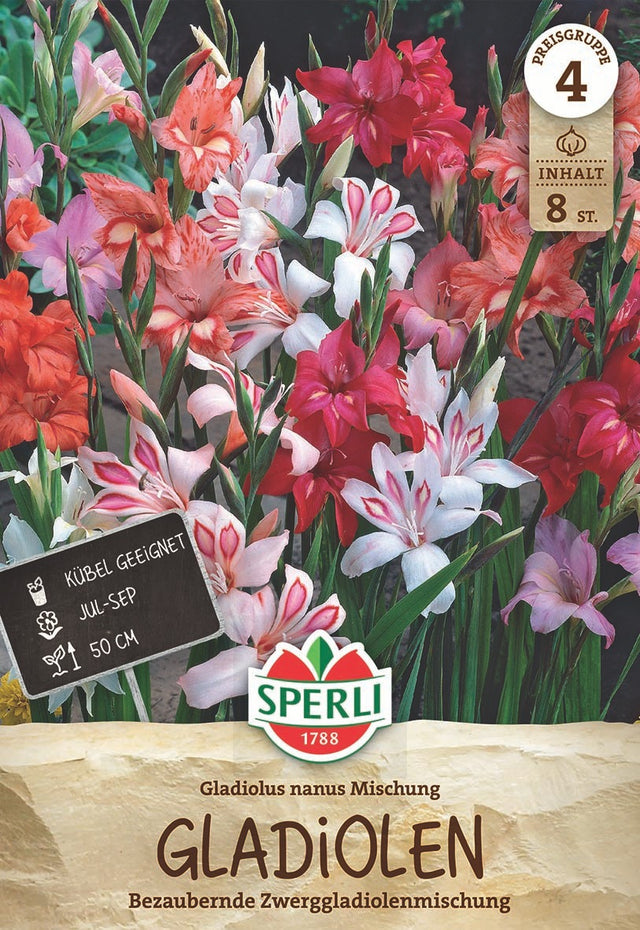 SPERLI Gladiole Gladiole Nanus Mischung