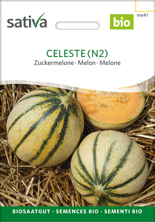 Sativa Zuckermelone Celeste (N2)