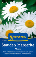 Kiepenkerl Margeriten Alaska