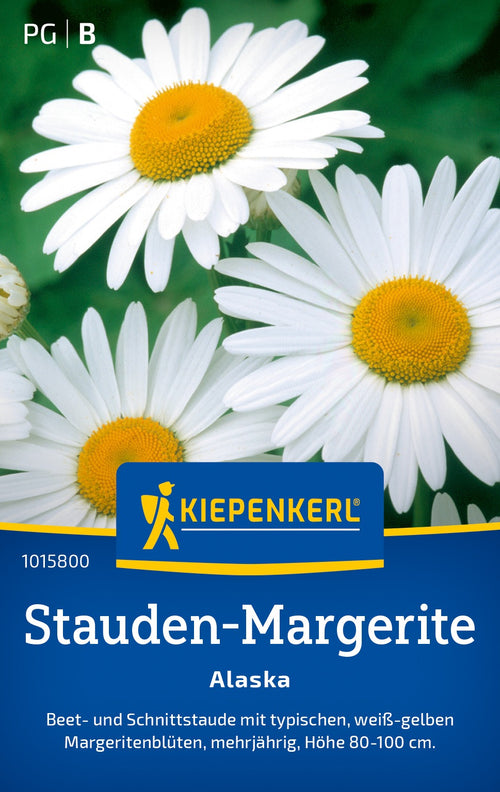 Kiepenkerl Margeriten Alaska