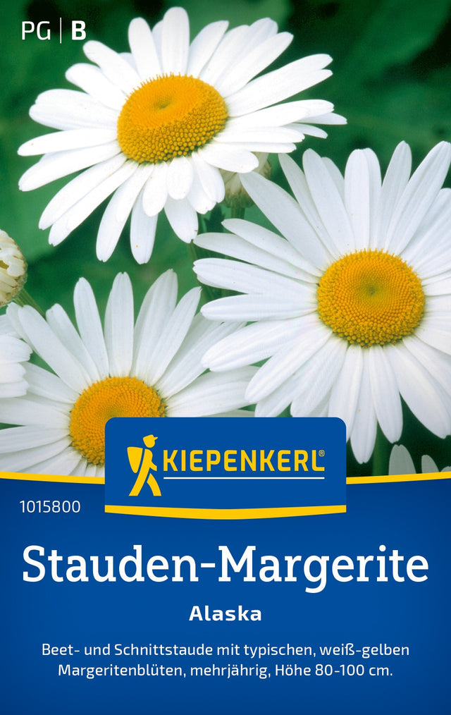 Kiepenkerl Margeriten Alaska