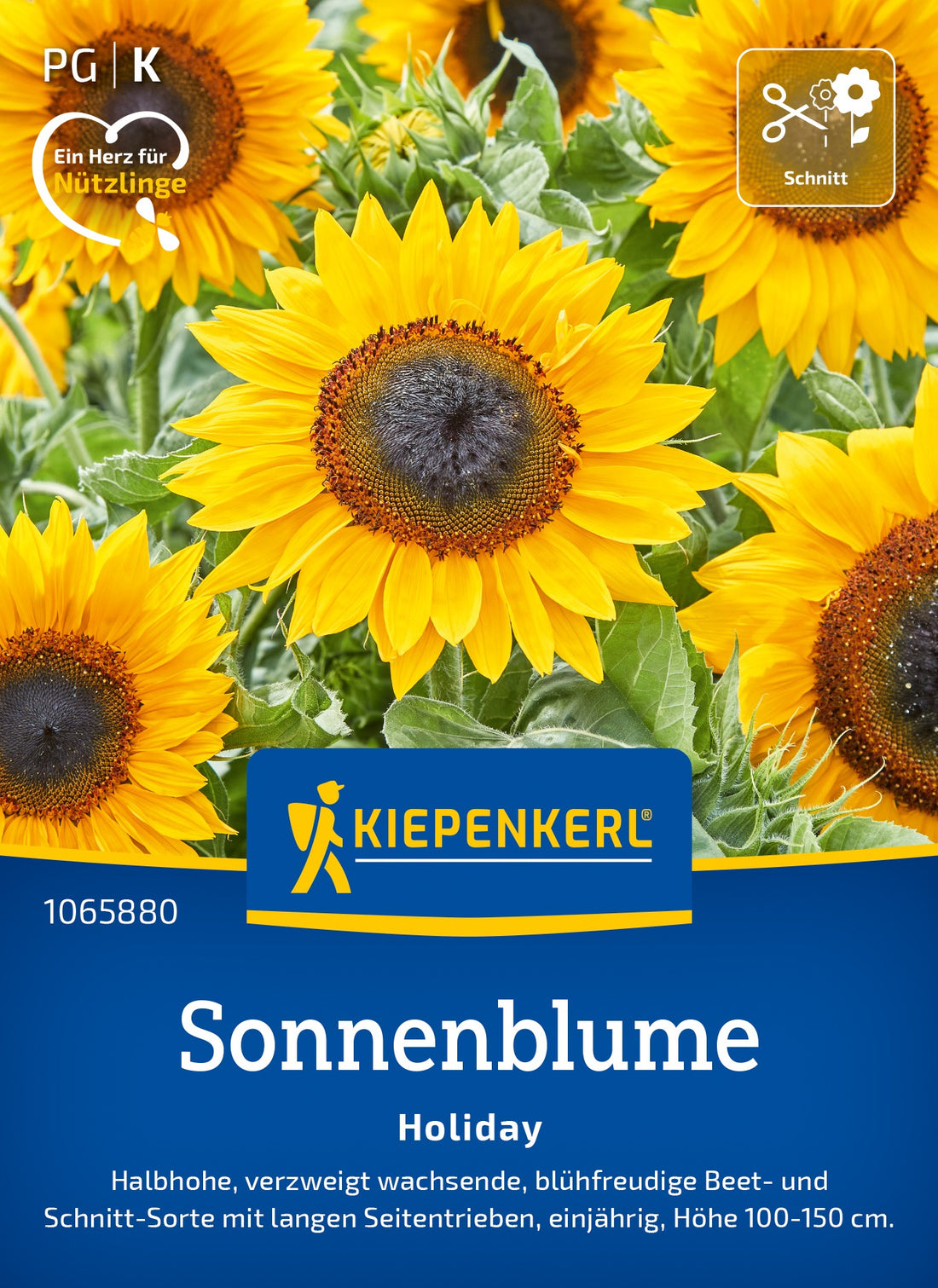 Kiepenkerl Sonnenblumen Holiday