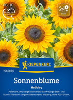 Kiepenkerl Sonnenblumen Holiday