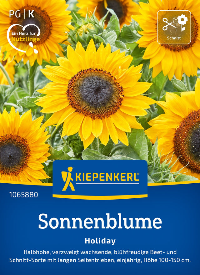Kiepenkerl Sonnenblumen Holiday