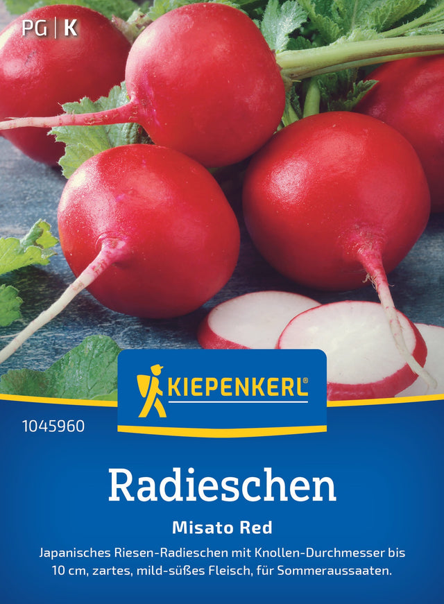Kiepenkerl Radieschen Misato Red