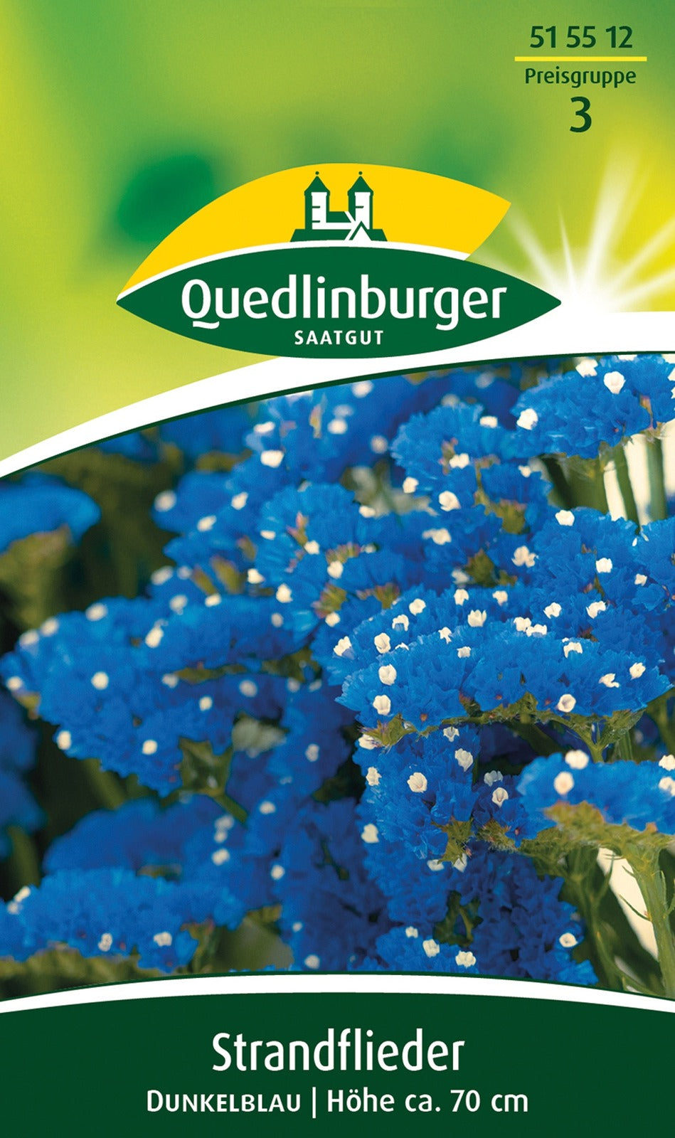 Quedlinburger Strandflieder für Florsitik Dunkelblau