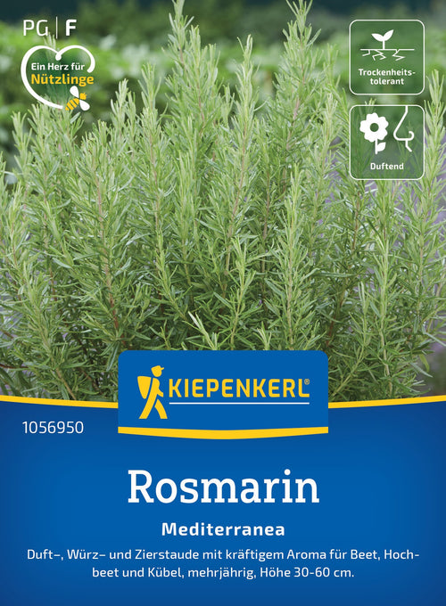 Kiepenkerl Rosmarin Mediterranea