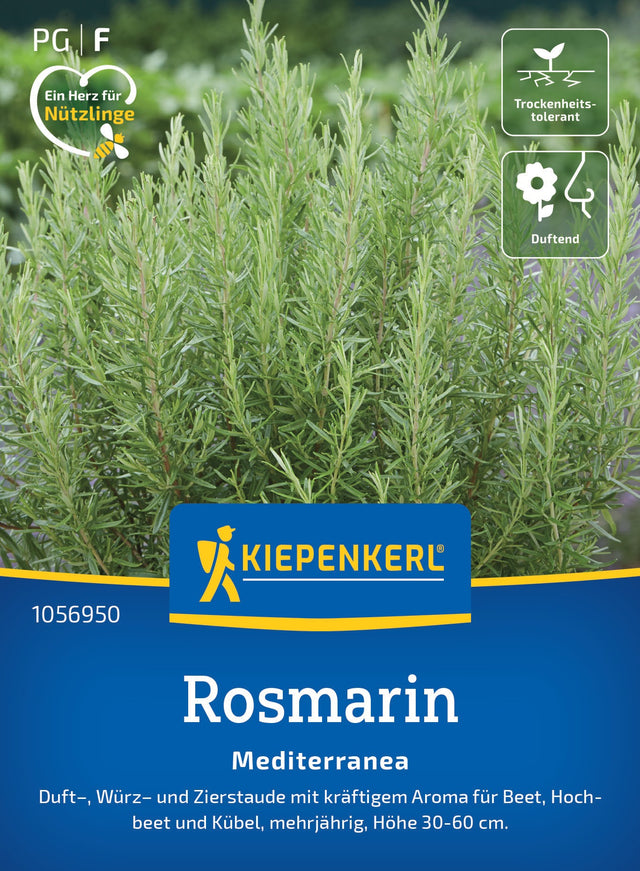 Kiepenkerl Rosmarin Mediterranea