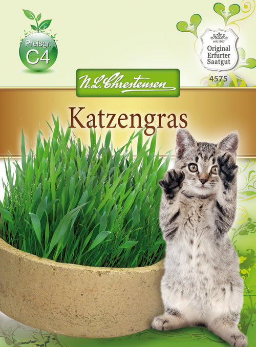 N.L. Chrestensen Katzengras