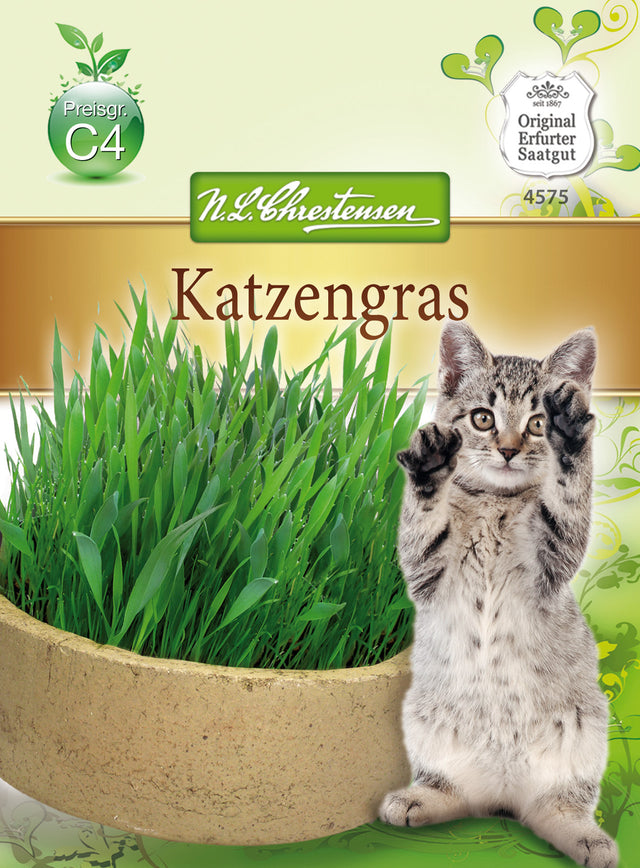 N.L. Chrestensen Katzengras