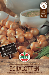 SPERLI Gelbe Schalotte Moon 10 Stück