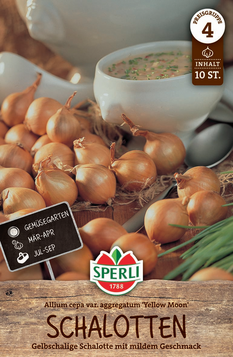 SPERLI Gelbe Schalotte Moon 10 Stück