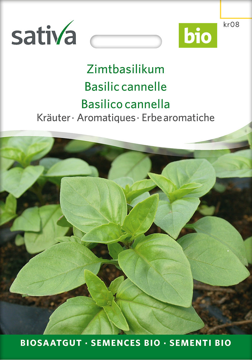 Sativa Zimtbasilikum
