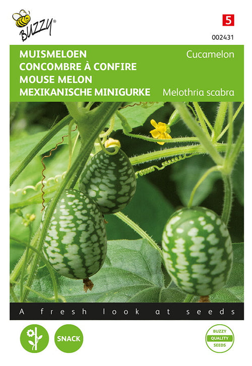 Buzzy Seeds Mexikanische Mini-gurken Cucamelon