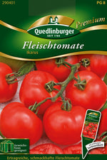 Quedlinburger Fleischtomate Ikarus