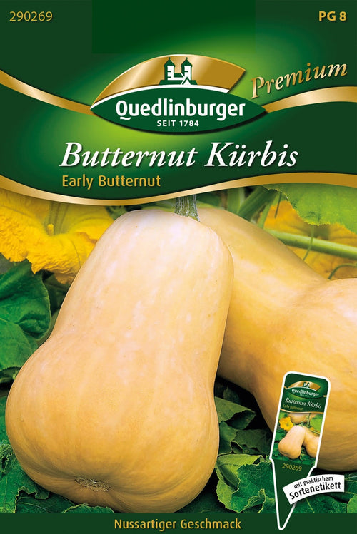 Quedlinburger Butternutkürbis Early Butternut
