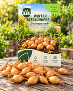 HILD Wintersteckzwiebel Shakespeare® 250 Gramm