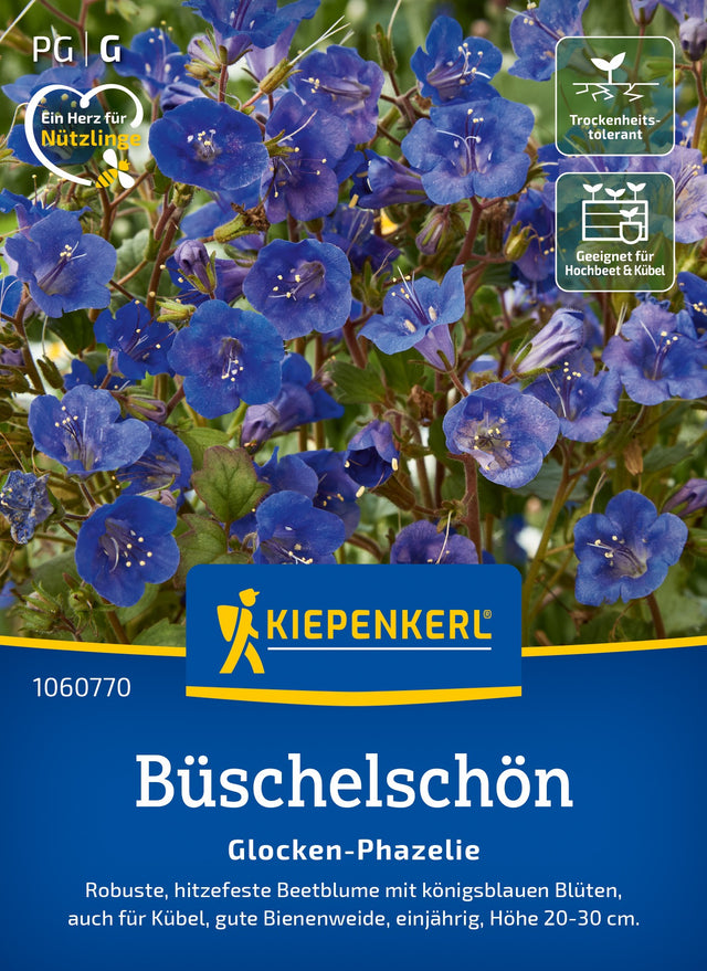 Kiepenkerl Büschelschön Glocken-Phazelie