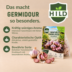HILD Winterknoblauch Bundle Germidour & Messidrome 6 Stück
