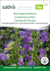 Sativa Marienglockenblume