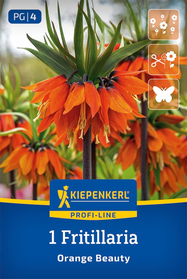 Profi-Line Kaiserkrone Orange Beauty