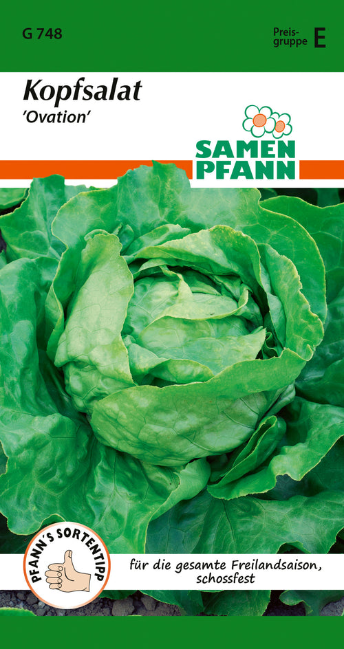 Samen Pfann Kopfsalat Ovation