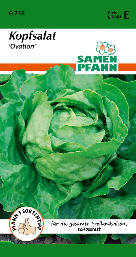 Samen Pfann Kopfsalat Ovation