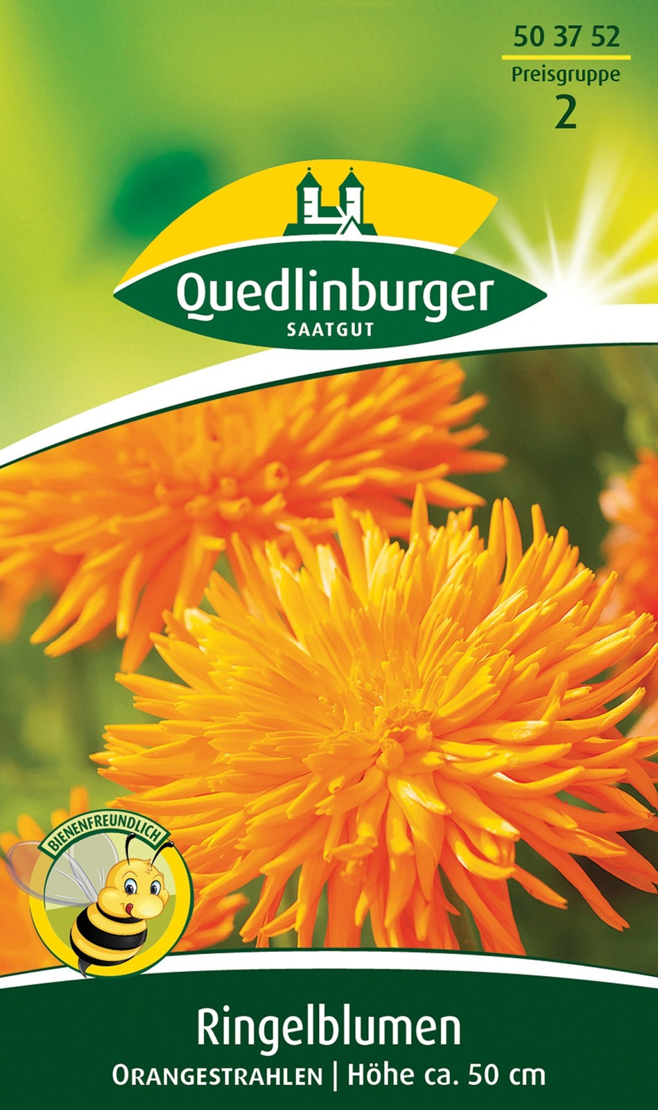Quedlinburger Ringelblume Orangestrahlen