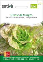 Sativa Lattich Grasse de Morges