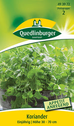 Quedlinburger Koriander einjährig
