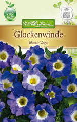 N.L. Chrestensen Nolana paradoxa Blauer Vogel
