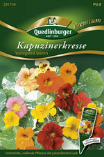 Quedlinburger Kapuzinerkresse Variegated Queen