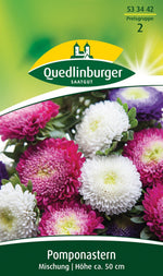Quedlinburger Pomponaster Mischung