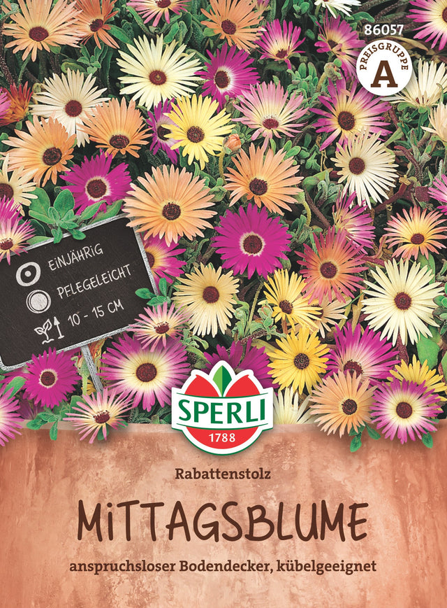 SPERLI Mittagsblume Rabattenstolz