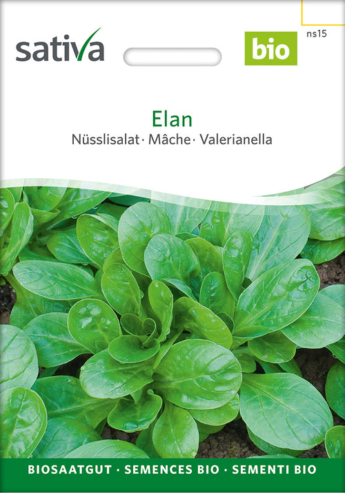 Sativa Nüsslisalat Elan