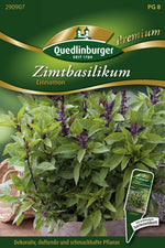 Quedlinburger Zimtbasilikum Cinnamon