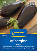 Kiepenkerl Auberginen Falcon