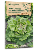 Samen Maier BIO Salat Grüner aus Maria Lankowitz