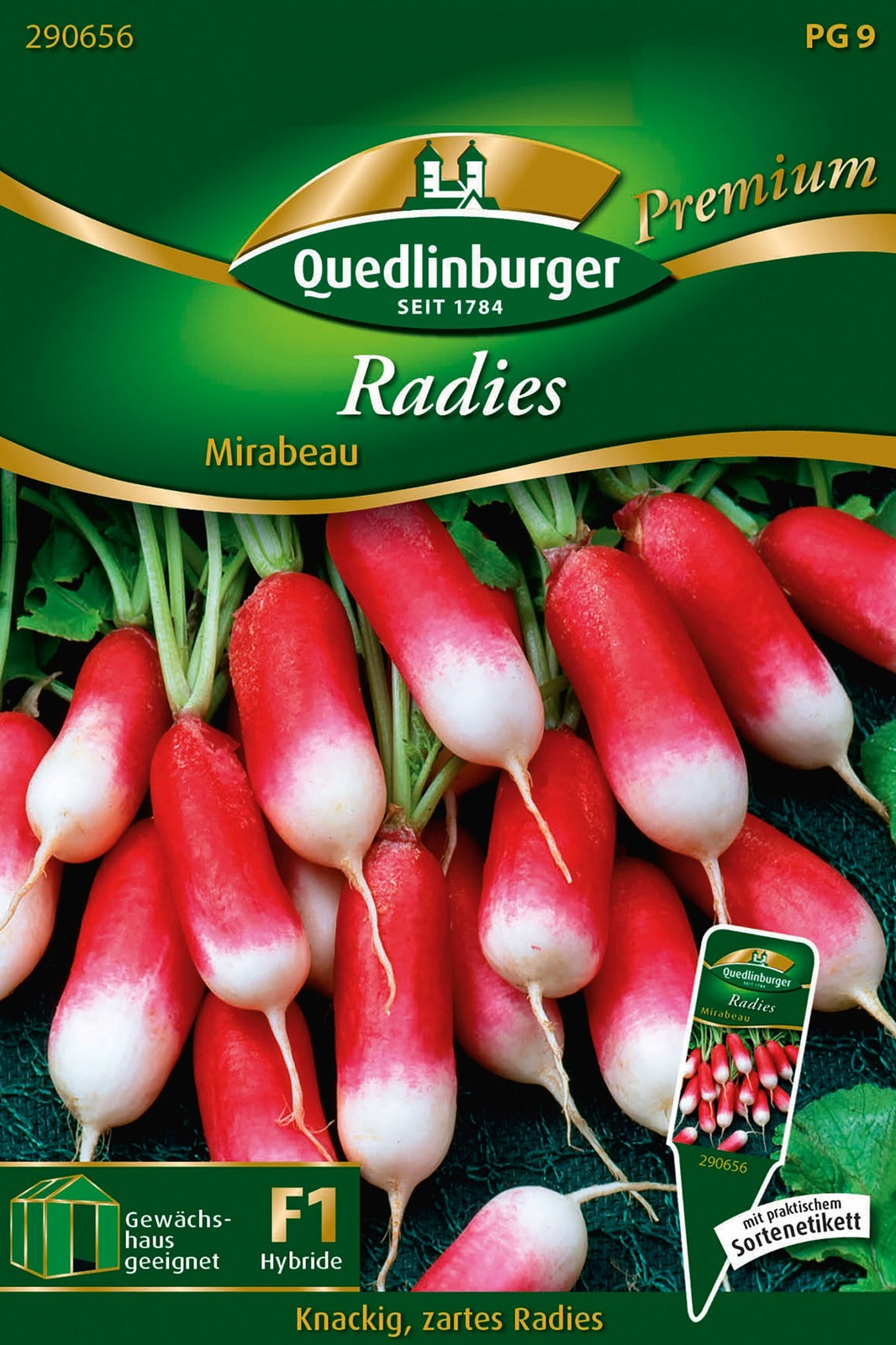Quedlinburger Radieschen Mirabeau