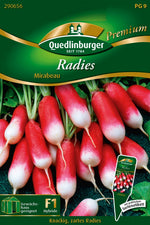 Quedlinburger Radieschen Mirabeau