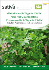 Sativa Glatte Petersilie Gigante d'Italia