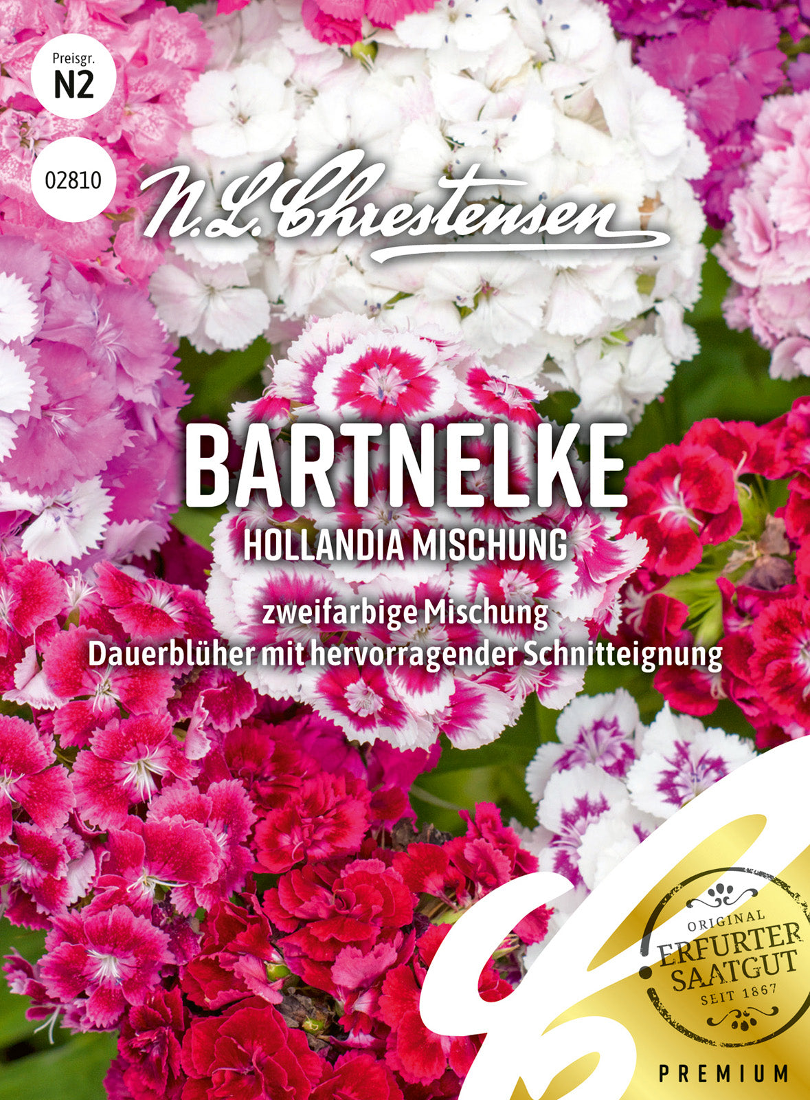 N.L. Chrestensen Bartnelke Hollandia Mischung