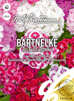 N.L. Chrestensen Bartnelke Hollandia Mischung
