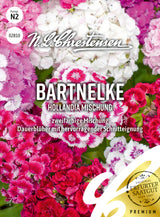 N.L. Chrestensen Bartnelke Hollandia Mischung