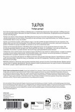 Greigii-Tulpe Rotkäppchen